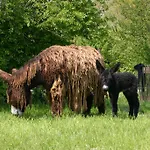 La Ferme Du Marais Poitevin - D'hotes 3*