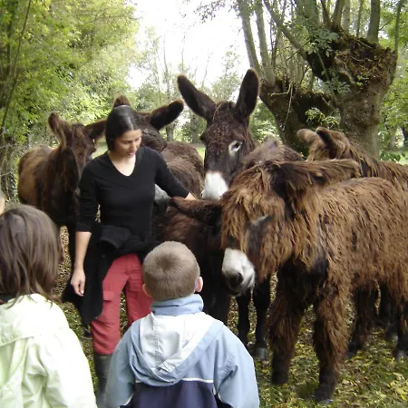 Couette-café La Ferme Du Marais Poitevin - D'hôtes