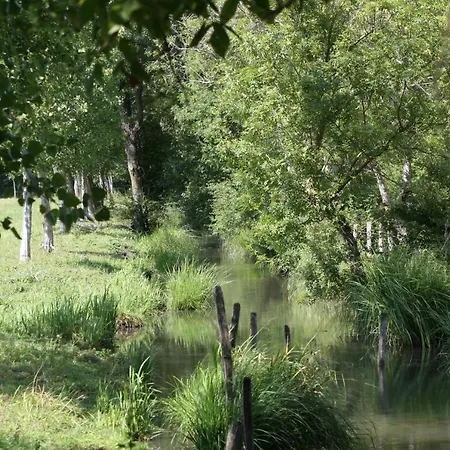 La Ferme Du Marais Poitevin - D'hôtes Benet