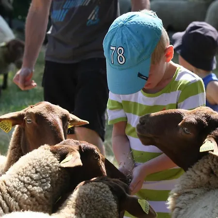La Ferme Du Marais Poitevin - D'hôtes 3* Benet