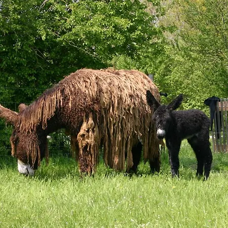 La Ferme Du Marais Poitevin - D'hotes *