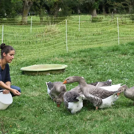 فندق مبيت وإفطار La Ferme Du Marais Poitevin - D'hotes Benet