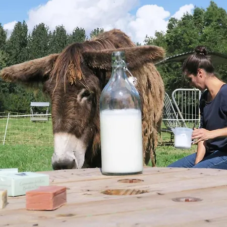 La Ferme Du Marais Poitevin - D'hôtes Couette-café