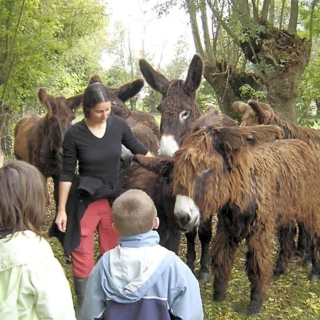 La Ferme Du Marais Poitevin - D'hotes Bed and Breakfast 3*