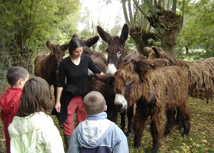 Bed & Breakfast La Ferme Du Marais Poitevin - D'hotes