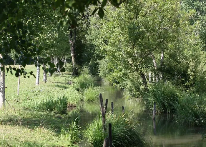 La Ferme Du Marais Poitevin - D'hotes Benet