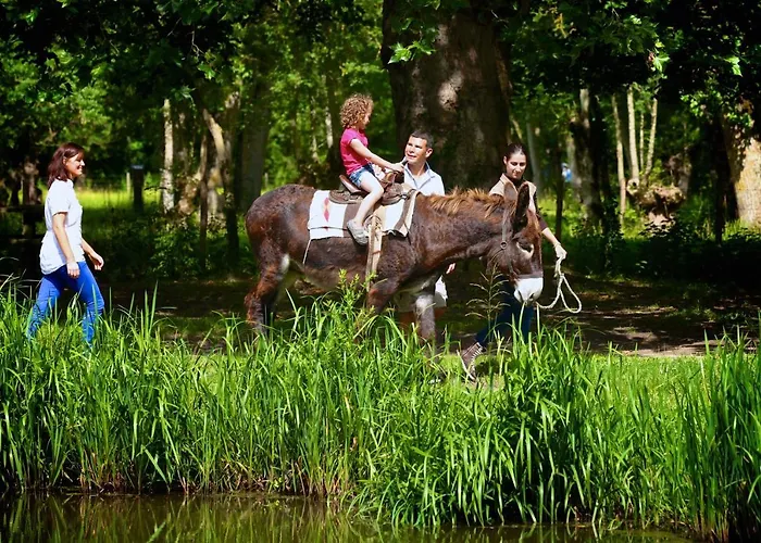 Bed & Breakfast La Ferme Du Marais Poitevin - D'hotes 3*