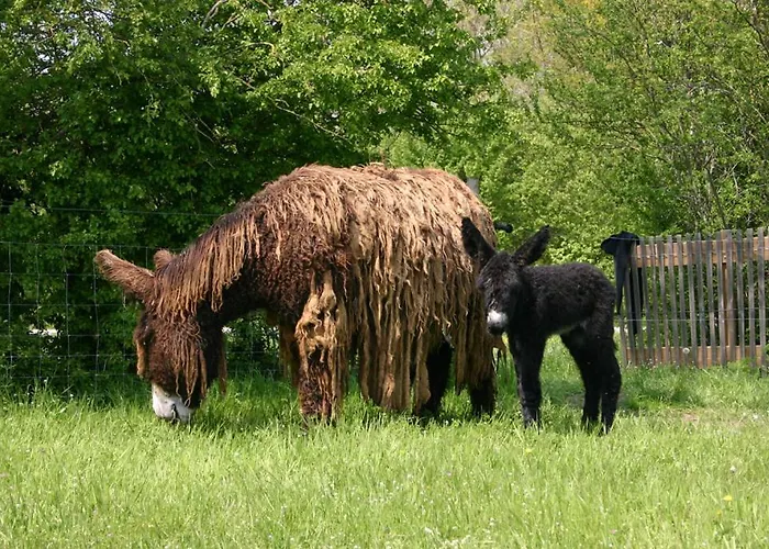 La Ferme Du Marais Poitevin - D'hotes 3*