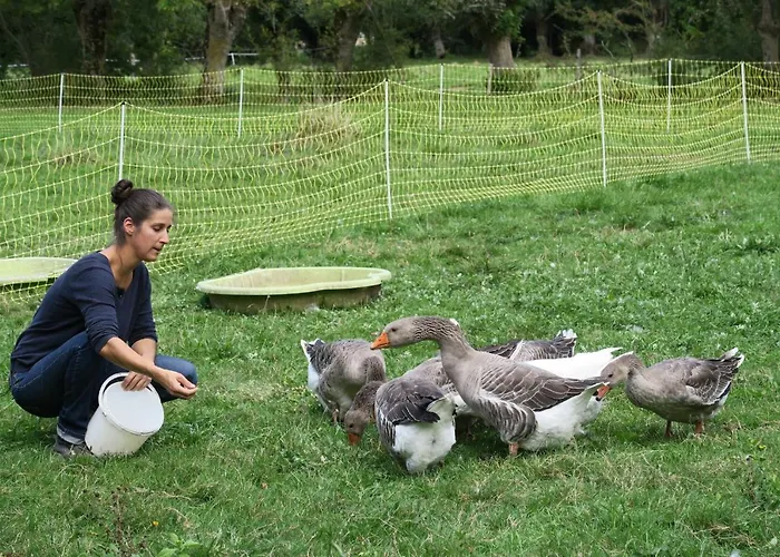 Bed & Breakfast La Ferme Du Marais Poitevin - D'hotes Benet
