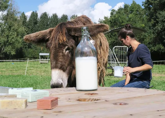 La Ferme Du Marais Poitevin - D'hotes Bed & Breakfast