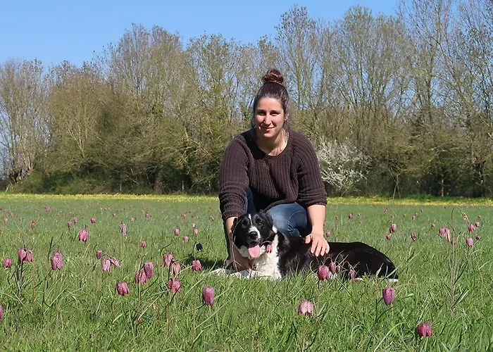 Bed & Breakfast La Ferme Du Marais Poitevin - D'hotes Benet